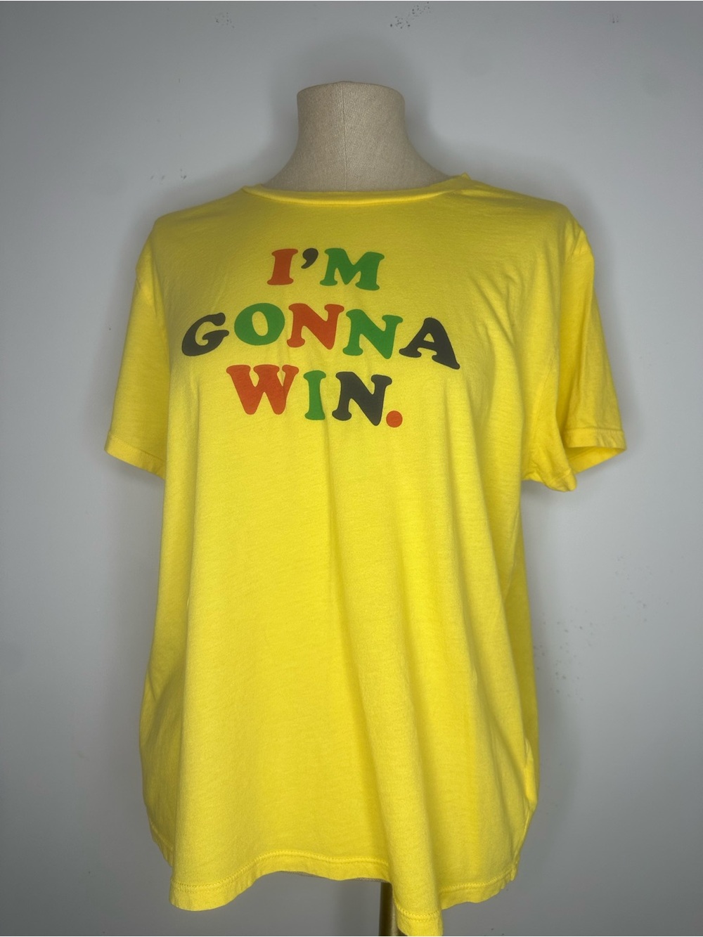 MOTHER Itty Bitty Ringer T-shirt
